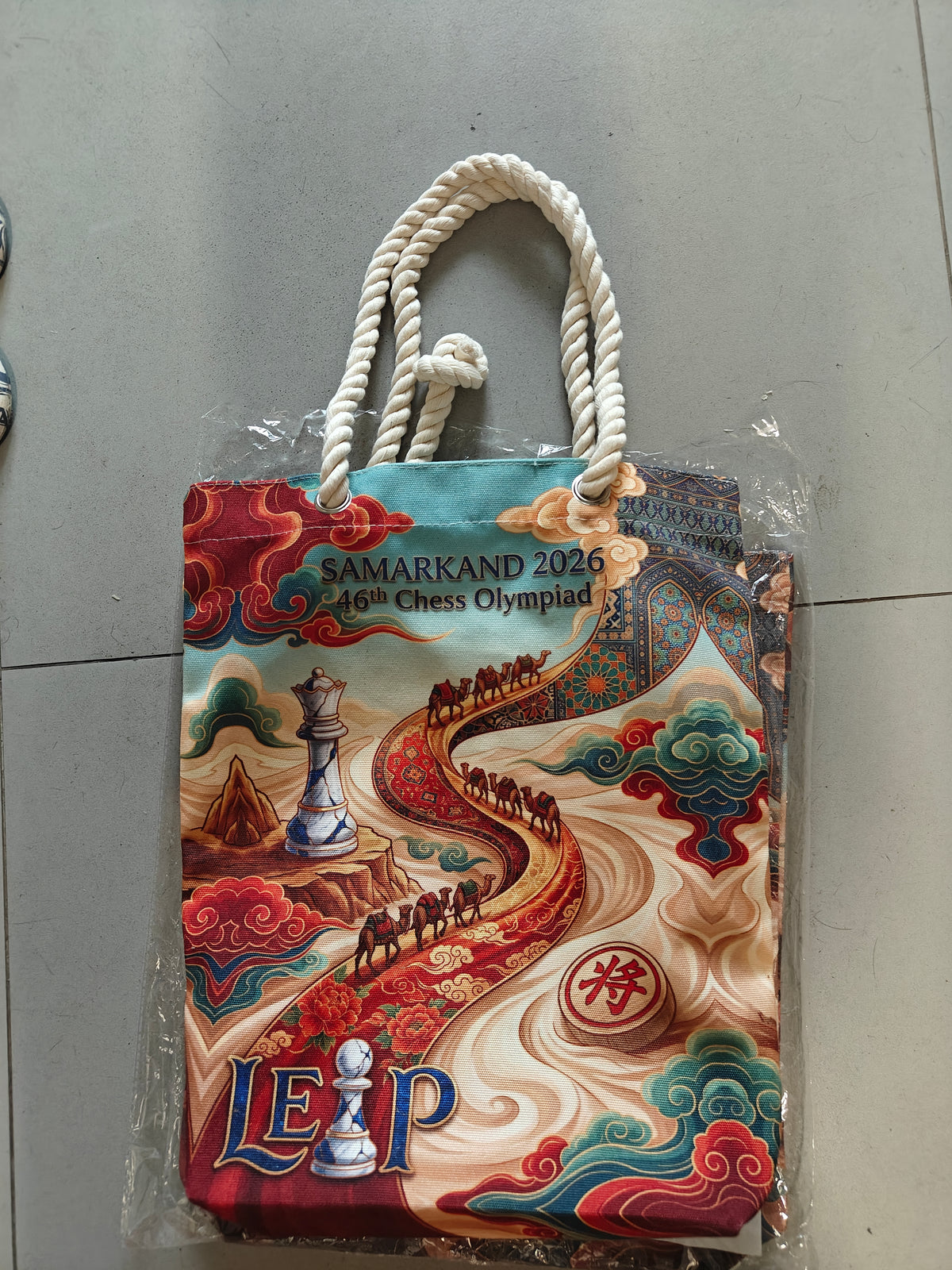 Silk Road gusseted tote bag additional view